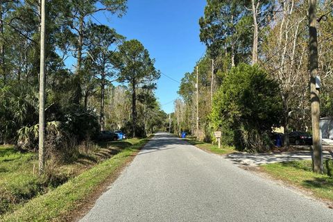 Tiny photo for 952 Ervin Street, Other Florida, FL 32084 (MLS # 397963)