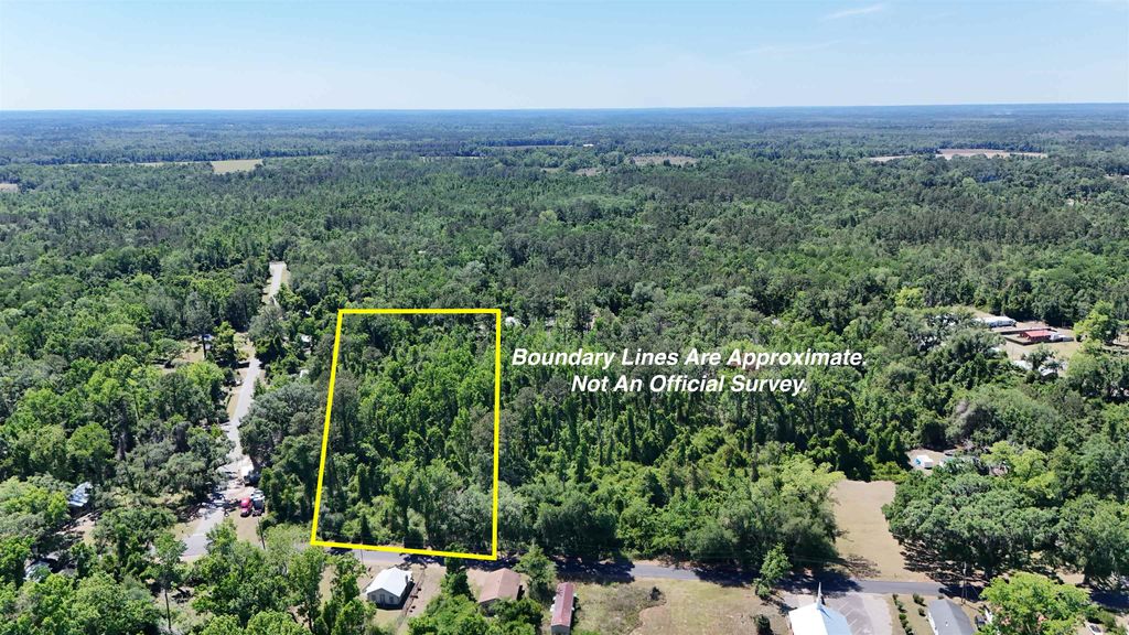 Photo of XXX SW Ray Charles Avenue, Greenville, FL 32331 (MLS # 399739)