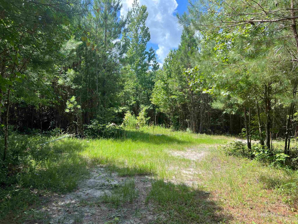 Photo of xx Hardaway Highway, Gretna, FL 32332 (MLS # 394943)