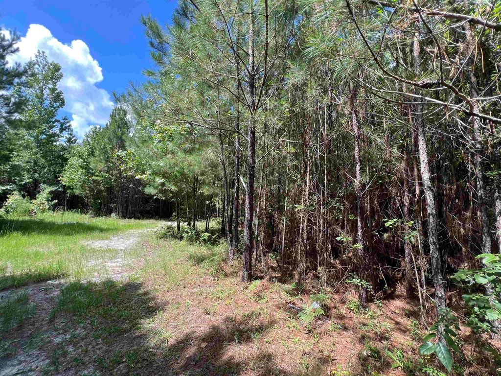 Photo of xx Hardaway Highway, Gretna, FL 32332 (MLS # 394943)