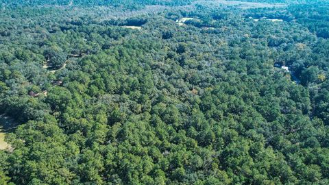 Tiny photo for 0 Crump Road, Tallahassee, FL 32309 (MLS # 393127)