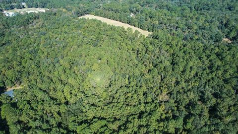 Tiny photo for 0 Crump Road, Tallahassee, FL 32309 (MLS # 393127)