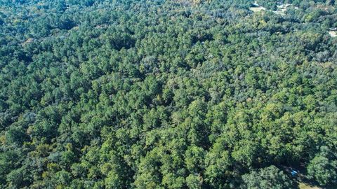 Tiny photo for 0 Crump Road, Tallahassee, FL 32309 (MLS # 393127)