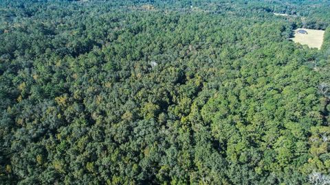 Tiny photo for 0 Crump Road, Tallahassee, FL 32309 (MLS # 393127)