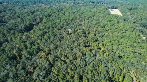 Tiny photo for 0 Crump Road, Tallahassee, FL 32309 (MLS # 393127)