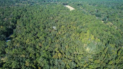 Tiny photo for 0 Crump Road, Tallahassee, FL 32309 (MLS # 393127)