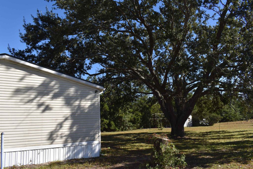 Photo of 4862 NE Bellville Road, Pinetta, FL 32350 (MLS # 393226)