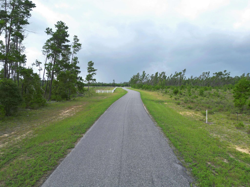 Photo of TBD NW Telogia Creek Drive, Bristol, FL 32321 (MLS # 402859)