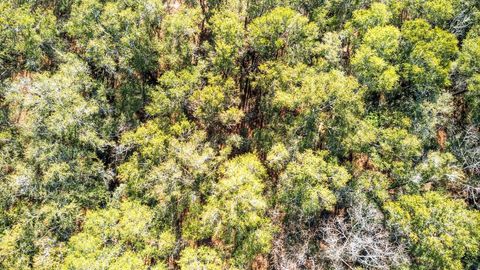 Tiny photo for 0 Lesley St, Tallahassee, FL 32305 (MLS # 394831)