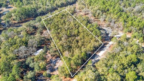 Tiny photo for 0 Lesley St, Tallahassee, FL 32305 (MLS # 394831)