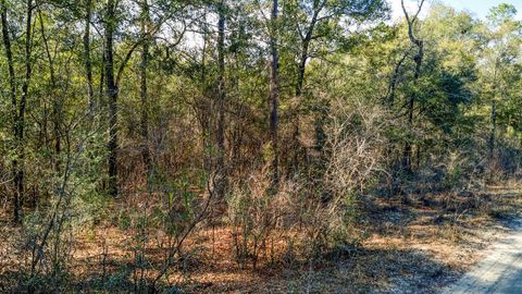 Tiny photo for 0 Lesley St, Tallahassee, FL 32305 (MLS # 394831)