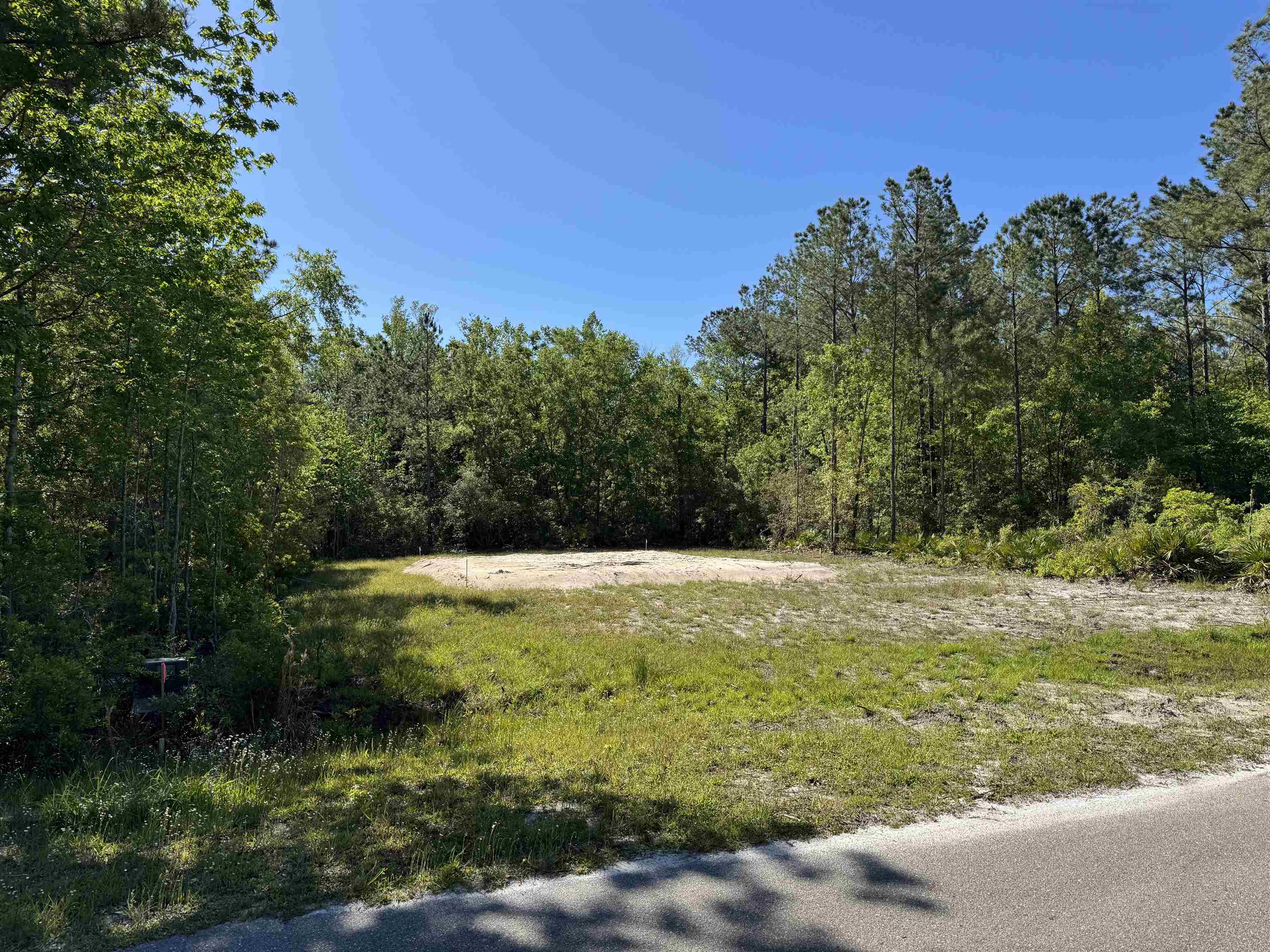 xx Old Palmetto Path