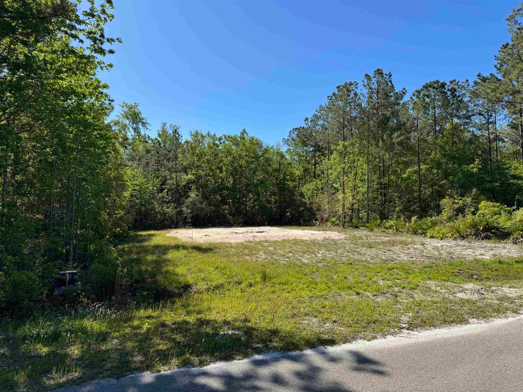 Photo of xx Old Palmetto Path, St Marks, FL 32355 (MLS # 394702)