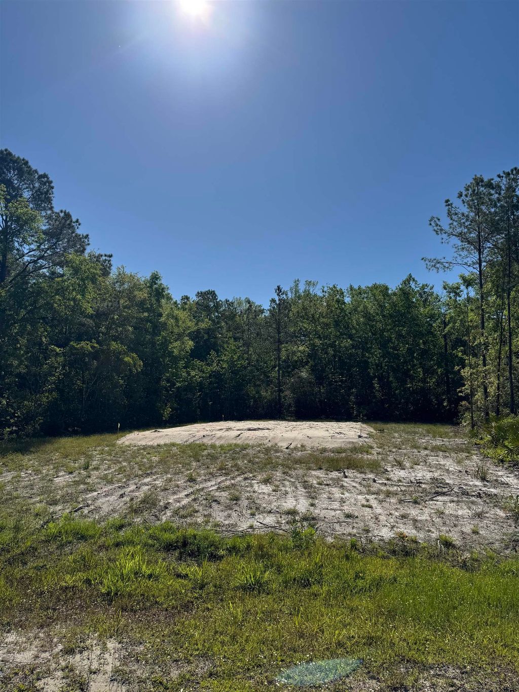 Photo of xx Old Palmetto Path, St Marks, FL 32355 (MLS # 394702)