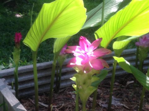 Tiny photo for 240 Sturgeon Drive, Tallahassee, FL 32312 (MLS # 392434)