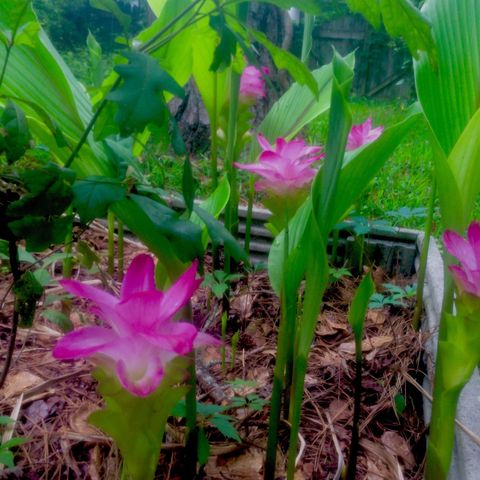 Tiny photo for 240 Sturgeon Drive, Tallahassee, FL 32312 (MLS # 392434)