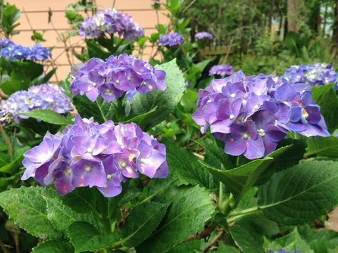 Tiny photo for 240 Sturgeon Drive, Tallahassee, FL 32312 (MLS # 392434)