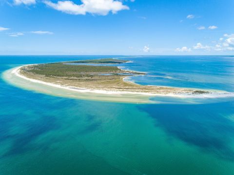 238 Gulf Shore Drive  FL 32322