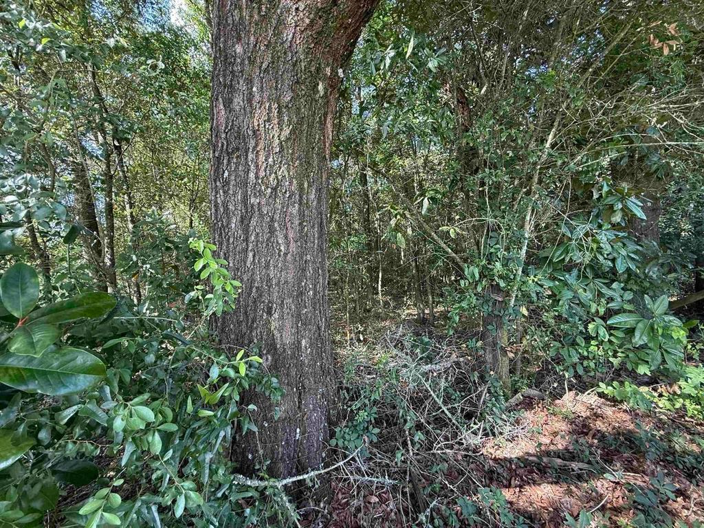 Photo of XXX LEWIS Lane, Quincy, FL 32351 (MLS # 397515)