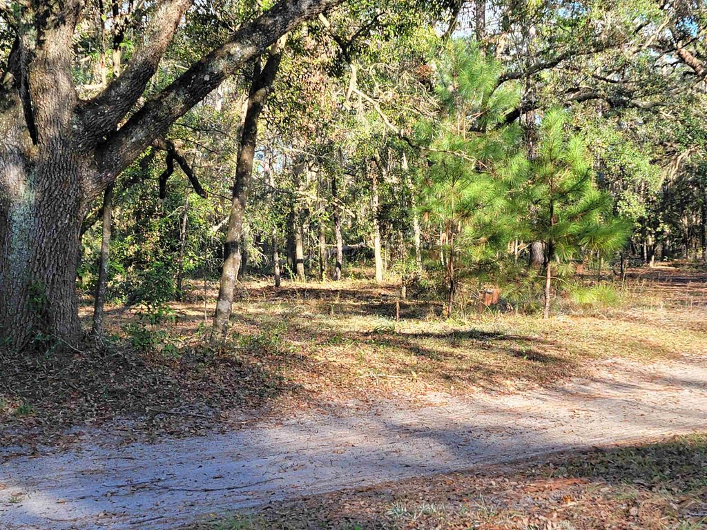 Photo of 00 Landry Road, Perry, FL 32348 (MLS # 379862)