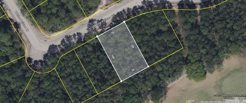 118 White Pelican Way Carrabelle FL 32322