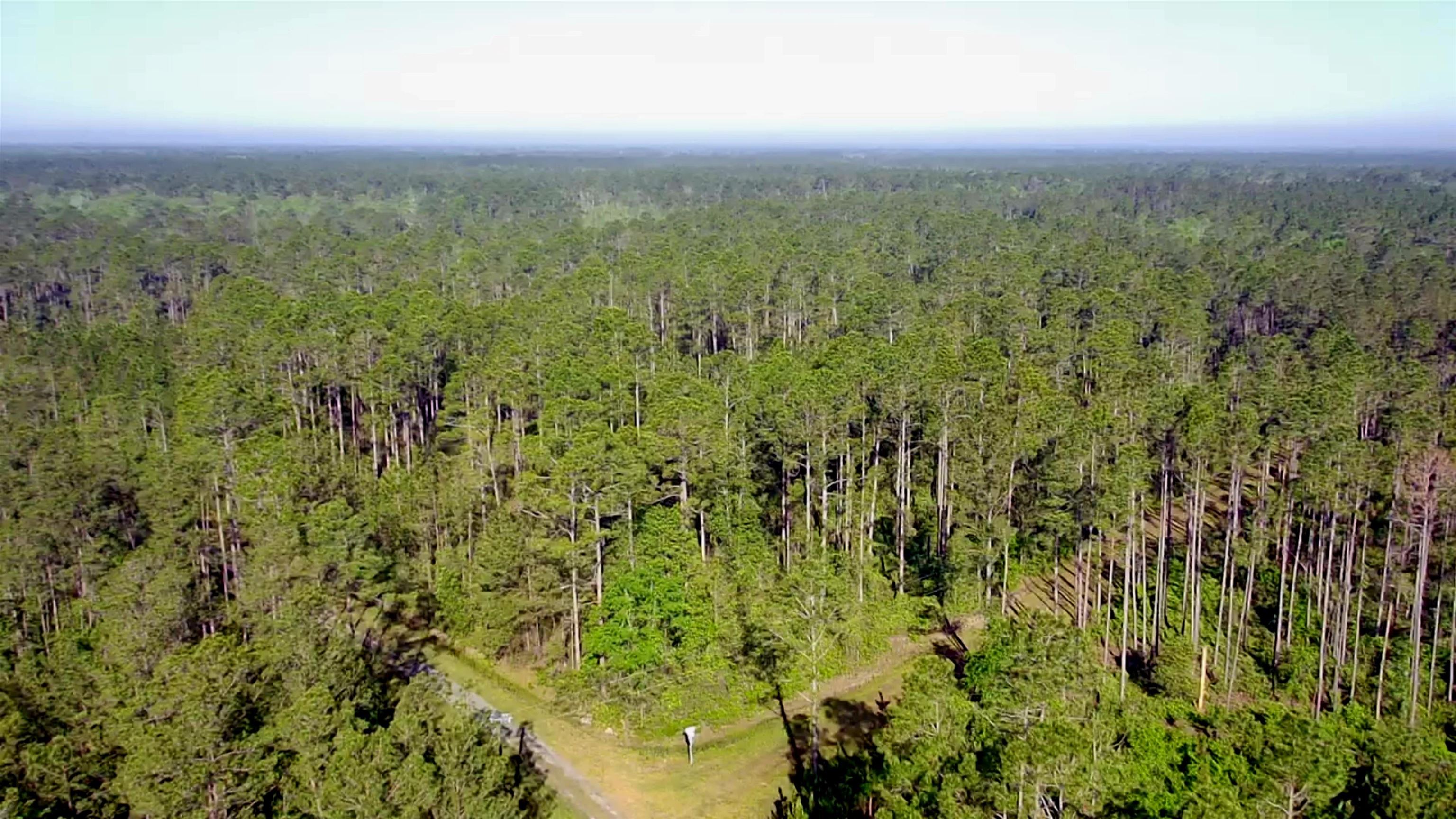 Lot 116 SW Pier Road