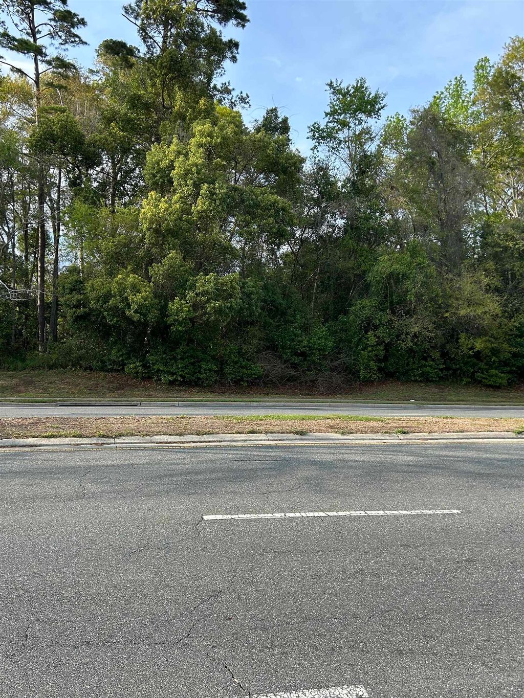 Photo of 1916 Miccosukee Road, Tallahassee, FL 32308 (MLS # 397352)