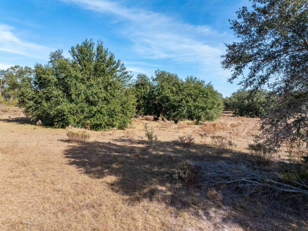 Photo of 1015 NE Evergreen Avenue, Pinetta, FL 32350 (MLS # 393408)