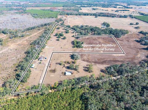 1015 NE Evergreen Avenue Pinetta FL 32350