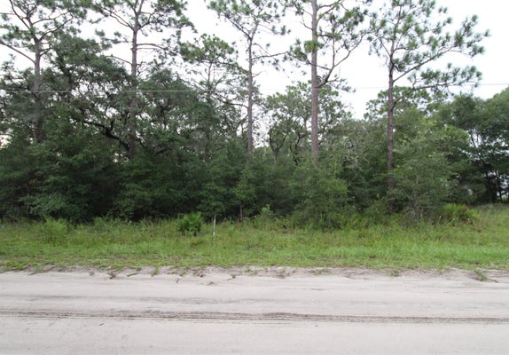4 BRITTON DR, PANACEA, FL 32346 - Image 1b4385d8a1061ba14c746e52c5283b01/3112515734