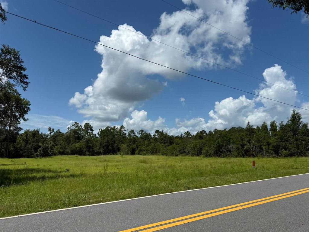 Photo of 179 Council Moore Road, Crawfordville, FL 32327 (MLS # 388804)
