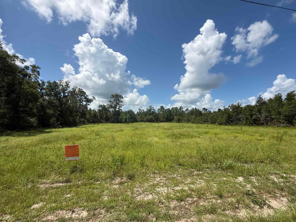 Photo of 179 Council Moore Road, Crawfordville, FL 32327 (MLS # 388804)