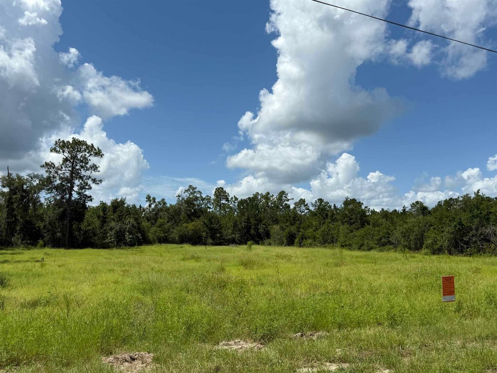 Photo of 179 Council Moore Road, Crawfordville, FL 32327 (MLS # 388804)