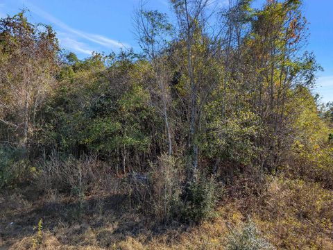 Tiny photo for 0 HICKORY WOODS Trail, Tallahassee, FL 32312 (MLS # 393886)