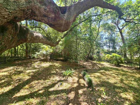 Tiny photo for 727 Miccosukee Road, Tallahassee, FL 32308 (MLS # 398947)