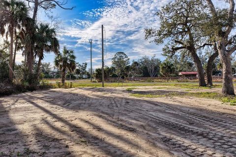 Tiny photo for 202 2ND Street #0, Steinhatchee, FL 32359 (MLS # 395329)