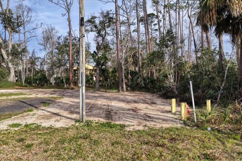 Tiny photo for 202 2ND Street #0, Steinhatchee, FL 32359 (MLS # 395329)