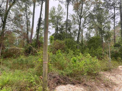 Tiny photo for 24 Maxson Road, Crawfordville, FL 32327 (MLS # 397853)