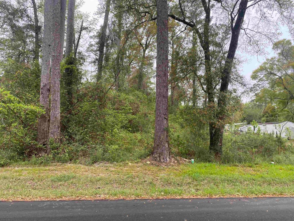 Photo of 24 Maxson Road, Crawfordville, FL 32327 (MLS # 397853)
