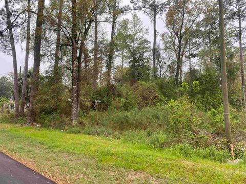 Tiny photo for 24 Maxson Road, Crawfordville, FL 32327 (MLS # 397853)