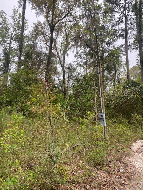 Tiny photo for 24 Maxson Road, Crawfordville, FL 32327 (MLS # 397853)