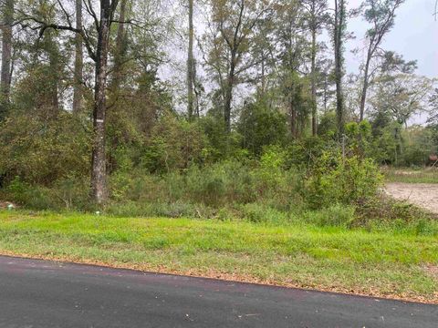 Tiny photo for 24 Maxson Road, Crawfordville, FL 32327 (MLS # 397853)