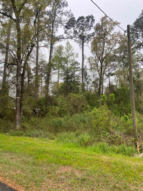 Tiny photo for 24 Maxson Road, Crawfordville, FL 32327 (MLS # 397853)