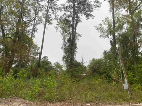 Tiny photo for 24 Maxson Road, Crawfordville, FL 32327 (MLS # 397853)