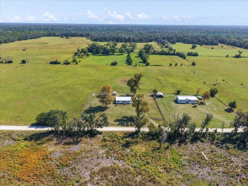 Photo of 4496 Wash Davis Road, Perry, FL 32347 (MLS # 392273)