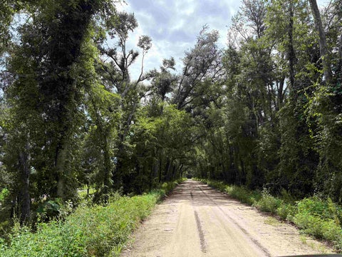 Tiny photo for 00 SW 65th Ln., Jasper, FL 32052 (MLS # 402088)