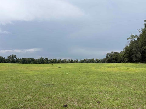 Tiny photo for 00 SW 65th Ln., Jasper, FL 32052 (MLS # 402088)