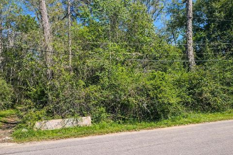 Tiny photo for 0 Wm Jones Lane, Tallahassee, FL 32308 (MLS # 397611)