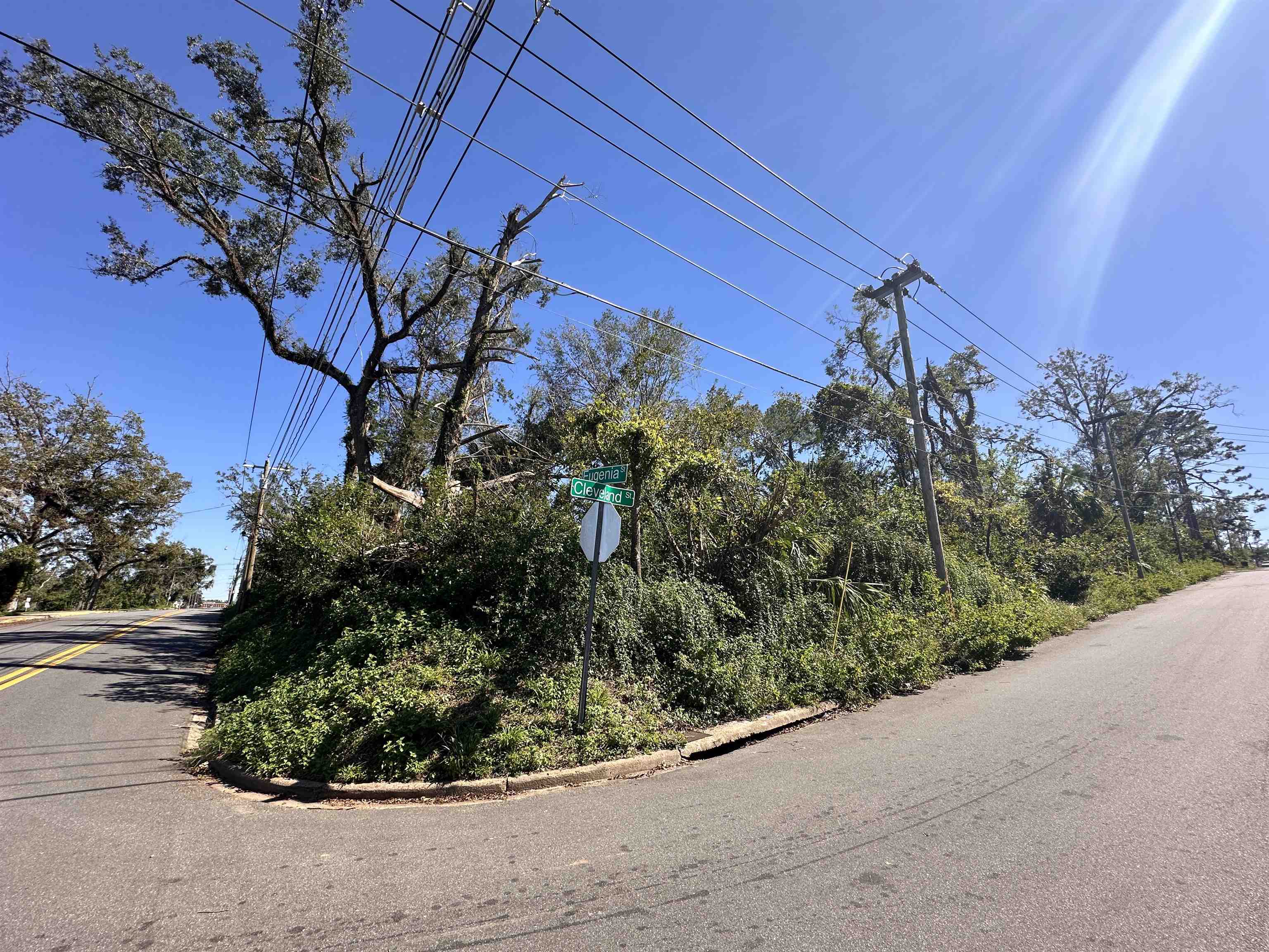 0 Eugenia Street
