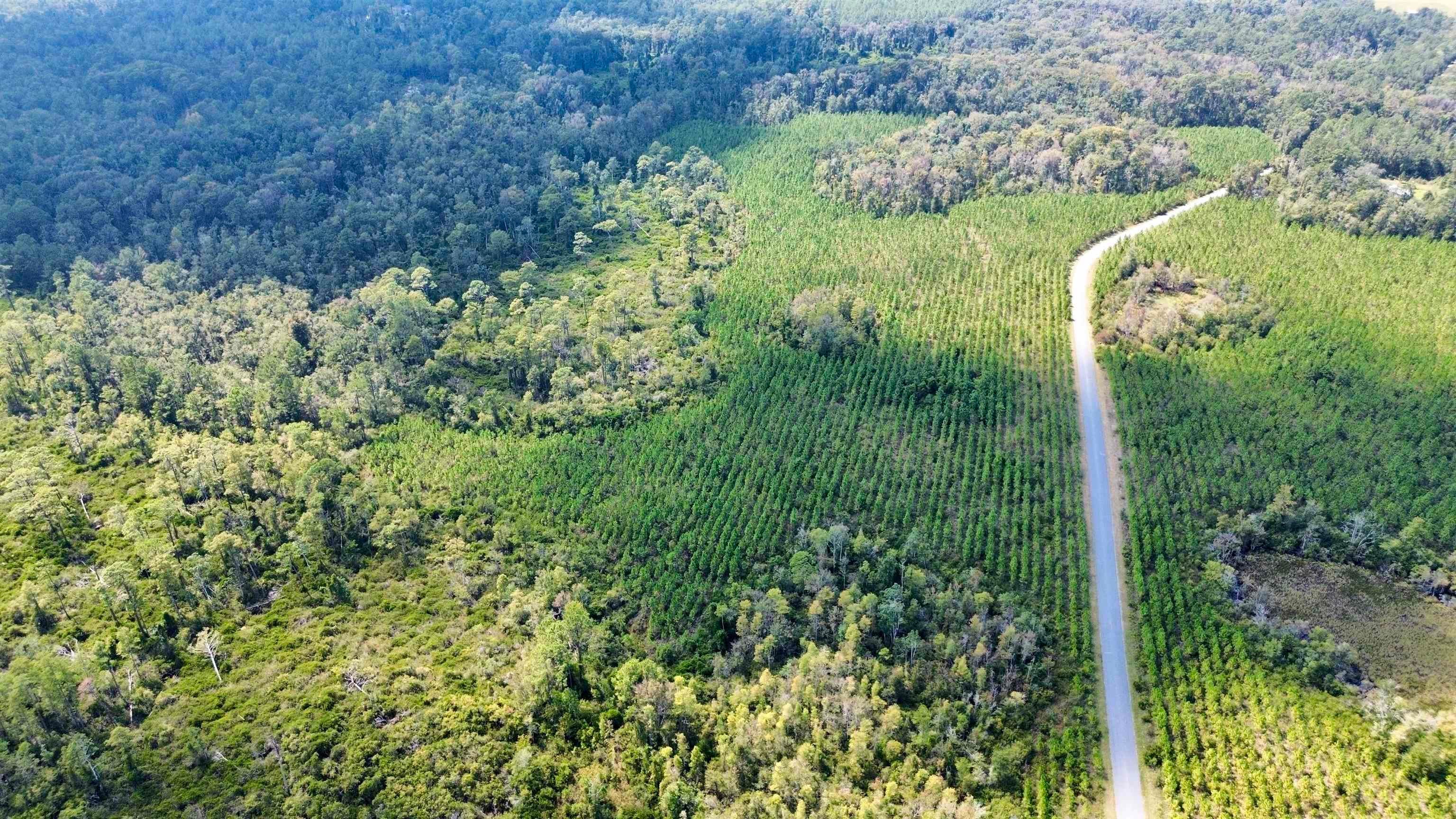 Lot 2 SW Wonderwood Street